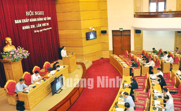 Đồng chí Đỗ Thị Hoàng, Phó Bí thư Thường trực Tỉnh ủy, Trưởng Đoàn ĐBQH phát biểu tại hội nghị