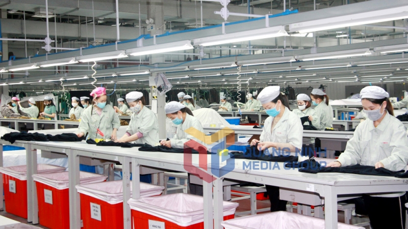 Sản xuất tại Công ty TNHH May mặc Hoa Lợi Đạt Việt Nam (KCN Cảng biển Hải Hà) (tháng 8-2021). Ảnh: Mạnh Trường