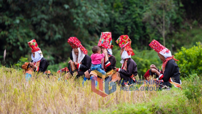 Người dân Bình Liêu đan sắc phục dân tộc và chăm con sau khi gặt xong thửa ruộng (8-2019). Ảnh: Nguyễn Thành Chung