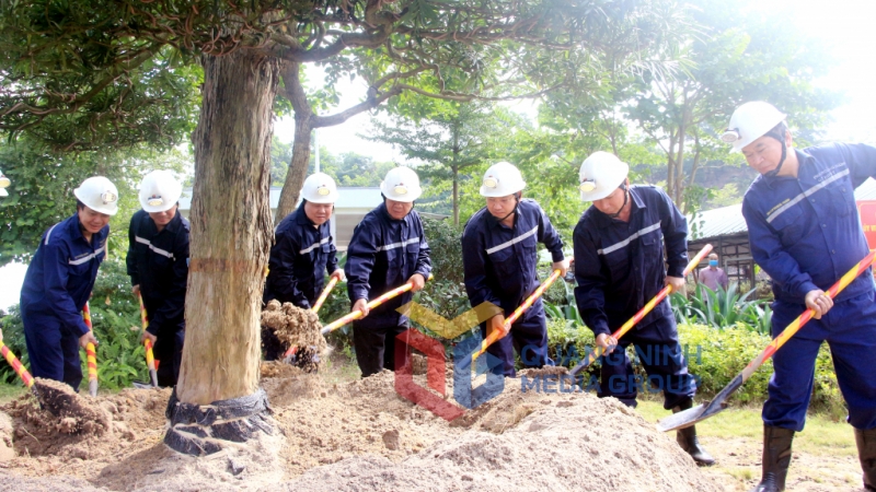 Phó Thủ tướng Chính phủ Lê Văn Thành cùng các đại biểu trồng cây lưu niệm tại Trung tâm điều hành sản xuất Công ty CP Than Núi Béo (10-2021). Ảnh: Mạnh Trường