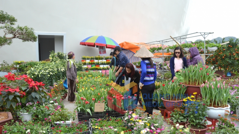 Người dân thăm quan mua sắm tại Hội chợ OCOP Quảng Ninh và Hội hoa Xuân - Trưng bày sinh vật cảnh Xuân Đinh Dậu 2017 (1-2017). Ảnh: Vạn Thảo