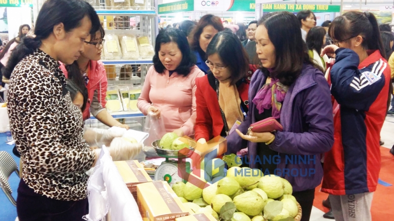 Sản phẩm ổi Hoành Bồ tại Hội chợ OCOP Quảng Ninh và Hội hoa Xuân - Trưng bày sinh vật cảnh Xuân Đinh Dậu 2017 (1-2017). Ảnh: Quảng An