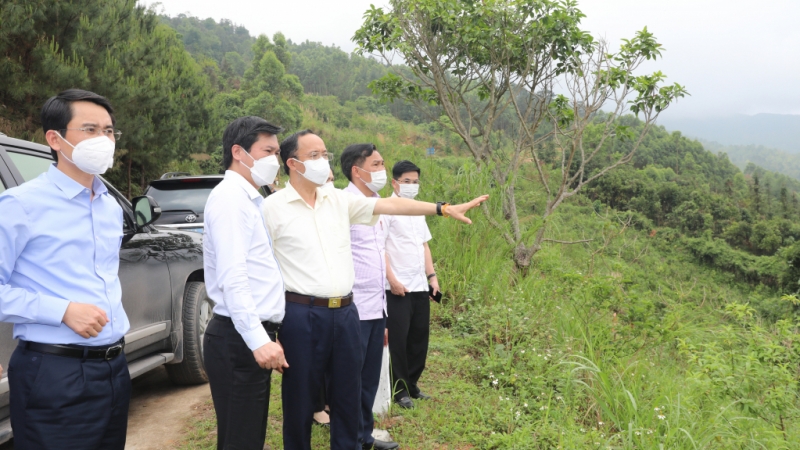 Chủ tịch UBND tỉnh kiểm tra tiềm năng khai thác du lịch của huyện Bình Liêu (4-2022). Ảnh: Đỗ Phương