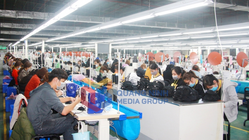 Sản xuất thân mũ xuất khẩu tại Công ty TNHH Dệt may Weitai Hạ Long (KCN Việt Hưng, TP Hạ Long) (9-2022). Ảnh: Mạnh Trường