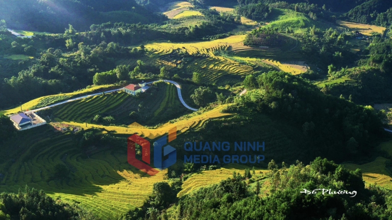 Mùa vàng Bình Liêu. Ảnh: Đỗ Phương