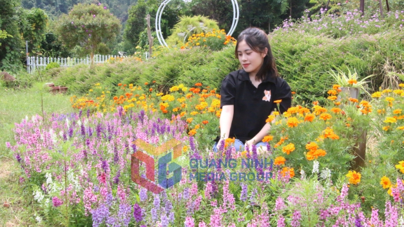 Du khách chụp tại vườn hoa Cao Sơn, Bình Liêu (11-2022). Ảnh: Nguyễn Dung