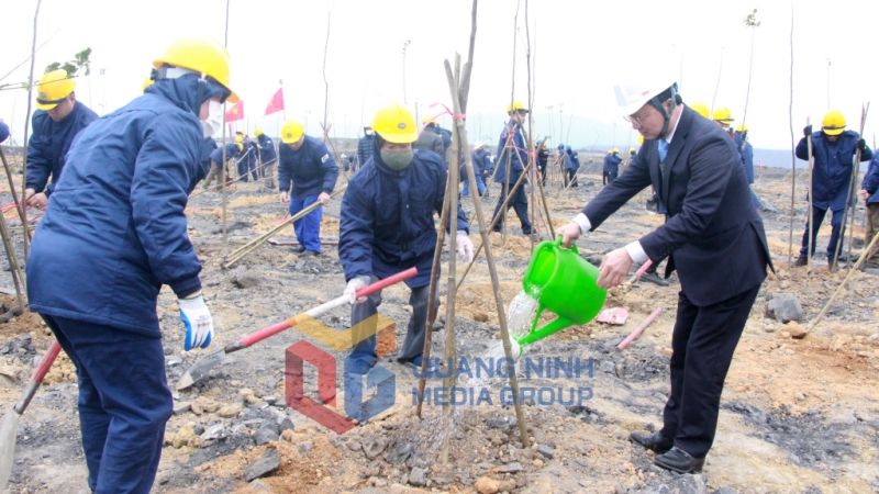 Đồng chí Cao Tường Huy, Quyền Chủ tịch UBND tỉnh, tham gia Tết trồng cây 2023 (1-2023). Ảnh: Thu Chung