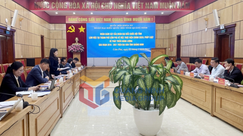 Đoàn ĐBQH tỉnh giám sát tại TP Cẩm Phả về năng lượng (3-2023). Ảnh: Cao Quỳnh