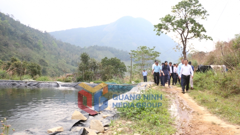 Đồng chí Cao Tường Huy, Quyền Chủ tịch UBND tỉnh, kiểm tra mô hình nuôi cá nước lạnh của HTX Phát triển nông nghiệp thủy sản Đông Bắc (3-2023). Ảnh: Phạm Tăng