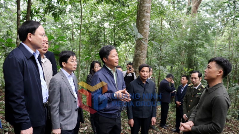 Đoàn công tác khảo sát mô hình trồng, chăm sóc, bảo vệ rừng của người dân ở xã Tân Dân, TP Hạ Long (3-2023). Ảnh: Thu Chung