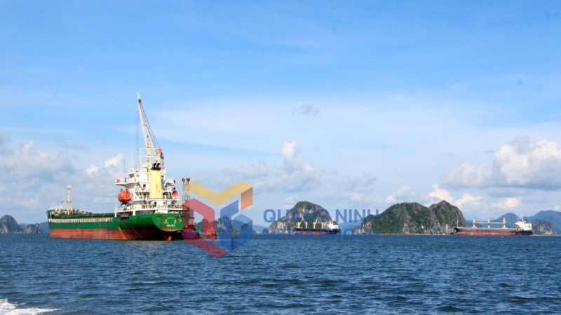 Các tàu làm hàng tại cảng Con Ong - Hòn Nét (TP Cẩm Phả) (3-2023). Ảnh: Mạnh Trường
