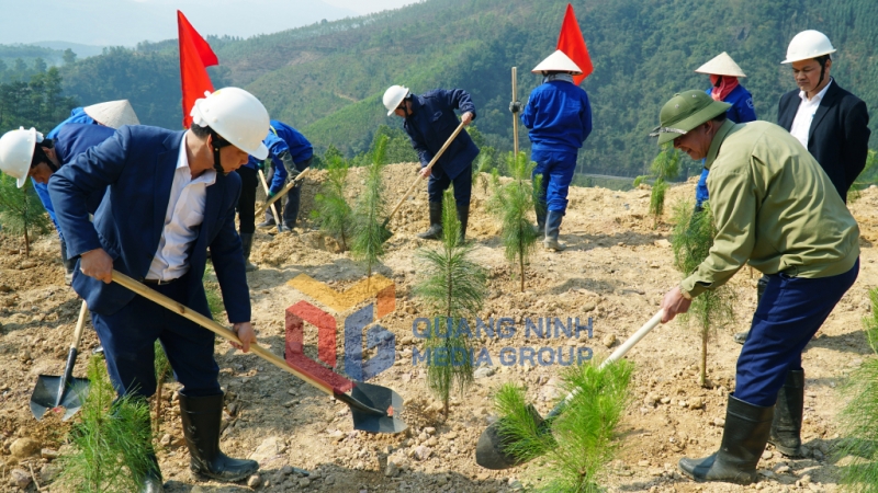 Trồng cây hoàn nguyên môi trường tại Công ty CP Than Vàng Danh (4-2023). Ảnh: Hoàng Yến