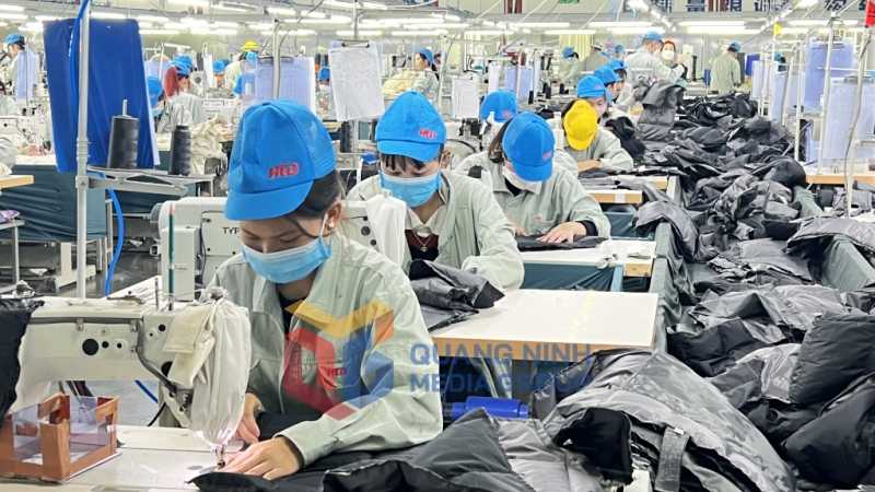 Sản xuất tại Công ty TNHH May mặc Hoa Lợi Đạt Việt Nam (KCN Cảng biển Hải Hà) (5-2023). Ảnh Thanh Hằng