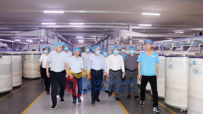 Đồng chí Bí thư Tỉnh ủy thăm Nhà máy sản xuất sợi Texhong Ngân Hà trong KCN Cảng biển Hải Hà (5-2023). Ảnh: Thu Chung