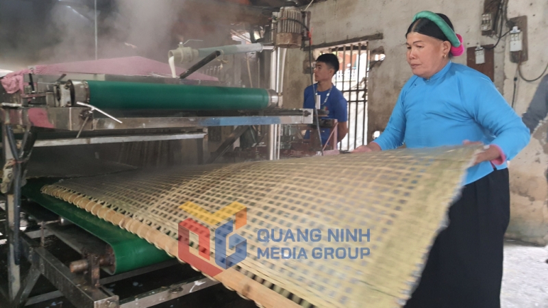 Sản xuất miến dong tại HTX Phát triển Đình Trung (xã Húc Động, huyện Bình Liêu) (7-2023). Ảnh: Việt Hoa