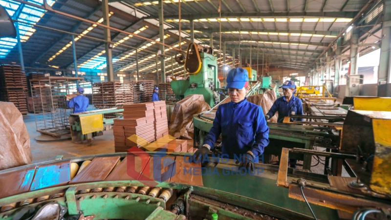 Sản xuất gạch ốp lát tại Công ty CP Gốm Đất Việt (11-2019). Ảnh: Dương Phượng Đại.