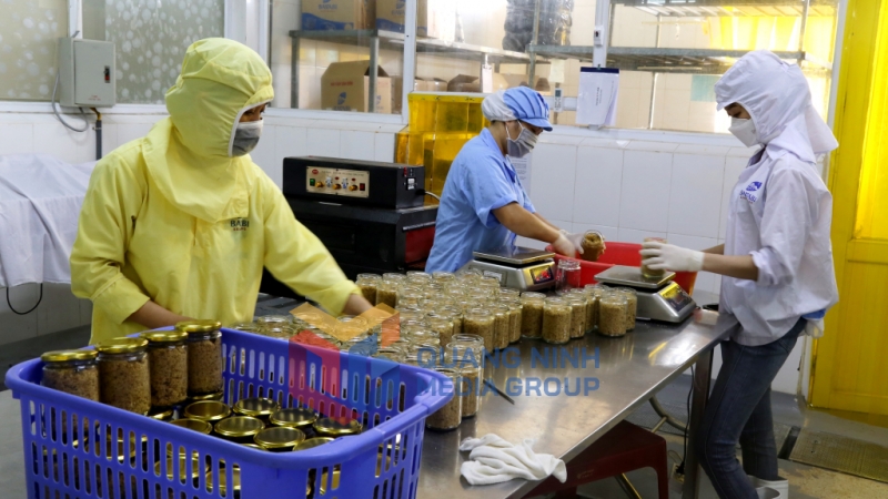 2023-08_Đóng gói ruốc hàu tại Công ty TNHH Sản xuất và Thương mại Thủy sản Quảng Ninh. Ảnh: Hằng Ngần