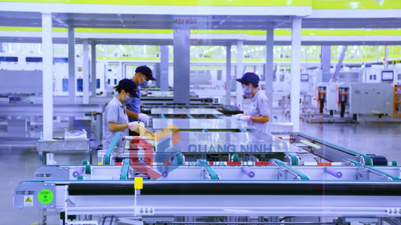 2023-10_Hoạt động sản xuất tấm quang năng tại nhà máy Jinko Solar PV Việt Nam. Ảnh: Trung tâm Truyền thông tỉnh