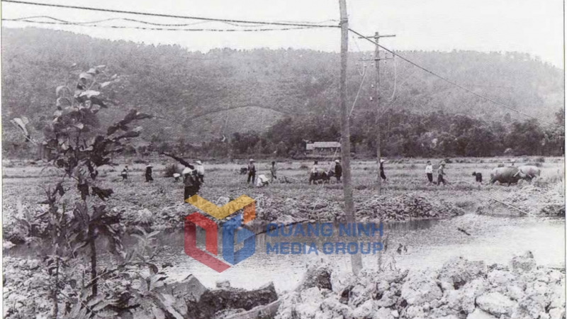 Năm 1964, mặc dù bị đánh phá ác liệt, nhân dân xã Sơn Dương, huyện Hoành Bồ, vẫn dũng cảm sản xuất bên hố bom của kẻ thù. Ảnh: Tư Liệu