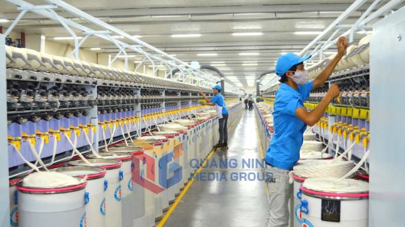 Nhà máy sản xuất sợi bông cotton của Công ty TNHH Khoa học kỹ thuật Texhong Ngân Long. Ảnh: Phương Thúy
