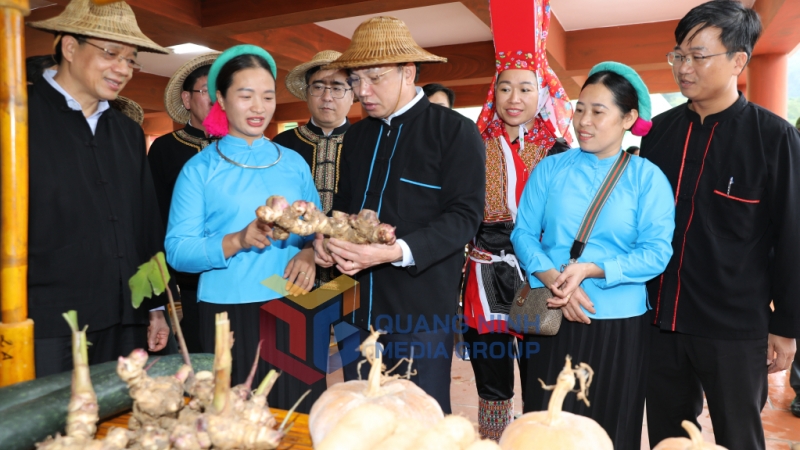 Đồng chí Bí thư Tỉnh ủy thăm sản phẩm nông sản của nhân dân xã Đại Dực (11-2023). Ảnh: PV