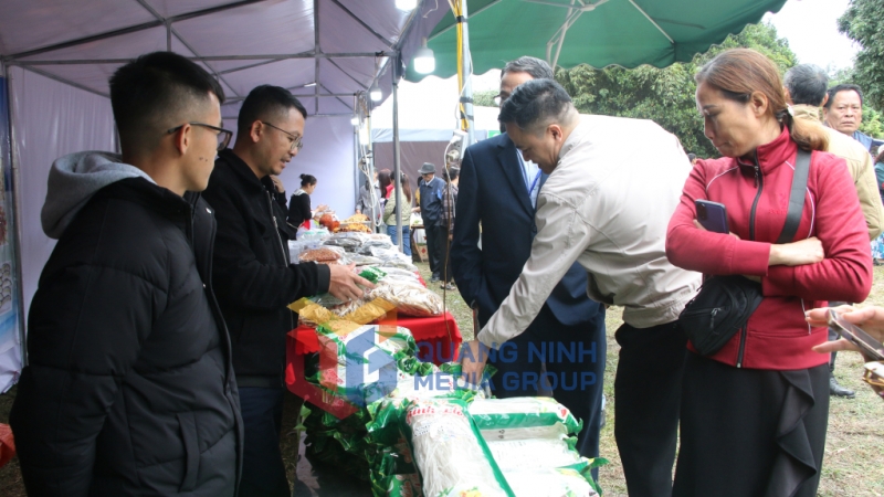 2023-12_Sản phẩm OCOP miến dong Bình Liêu được nhiều du khách lựa chọn mua về làm quà. Ảnh: Nguyễn Dung