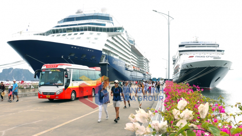 2024-01_Khách du lịch tàu biển di chuyển từ Cảng tàu khách quốc tế Hạ Long để đi tham quan, khám phá thành phố. Ảnh: Hoàng Quỳnh