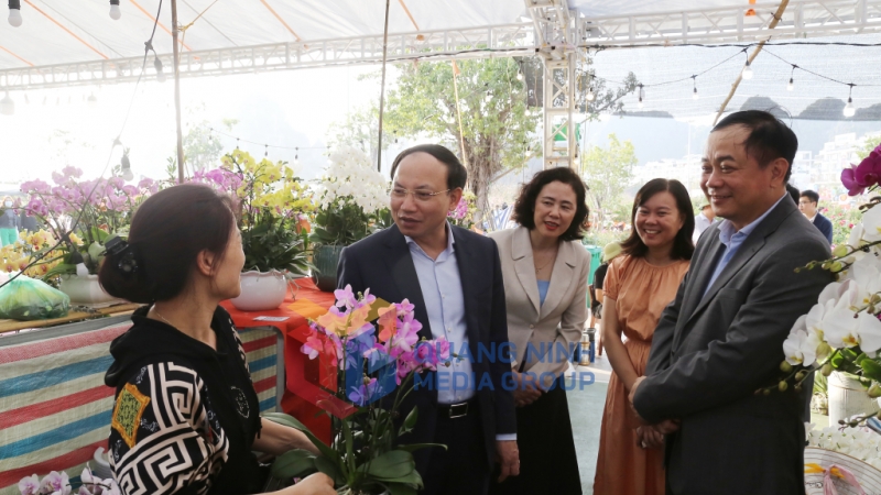 Đồng chí Bí thư Tỉnh ủy kiểm tra các gian hàng bán hoa cảnh phục vụ nhân dân mua sắm dịp Tết (2-2024). Ảnh: Thu Chung