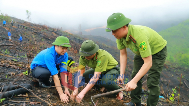 Tại huyện Bình Liêu, các đơn vị chức năng và người dân tăng cường trồng rừng để phát triển kinh tế và bảo vệ môi trường (2-2024). Ảnh: Việt Hoa