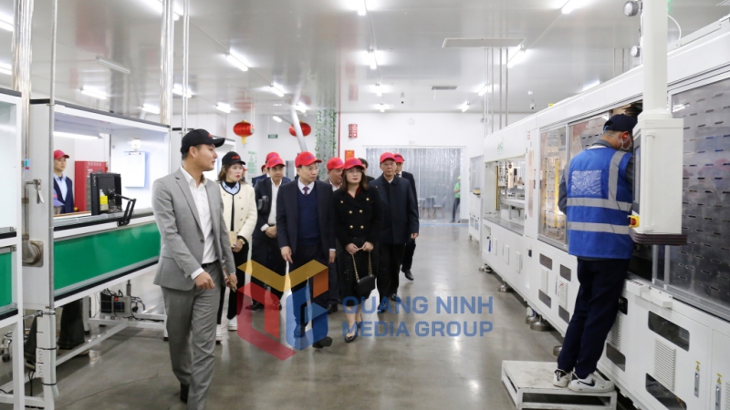 Đồng chí đến thăm, kiểm tra tình hình sản xuất tại Công ty TNHH Công nghiệp Jinko Solar Việt Nam (KCN Sông Khoai) (2-2024). Ảnh: Thu Chung