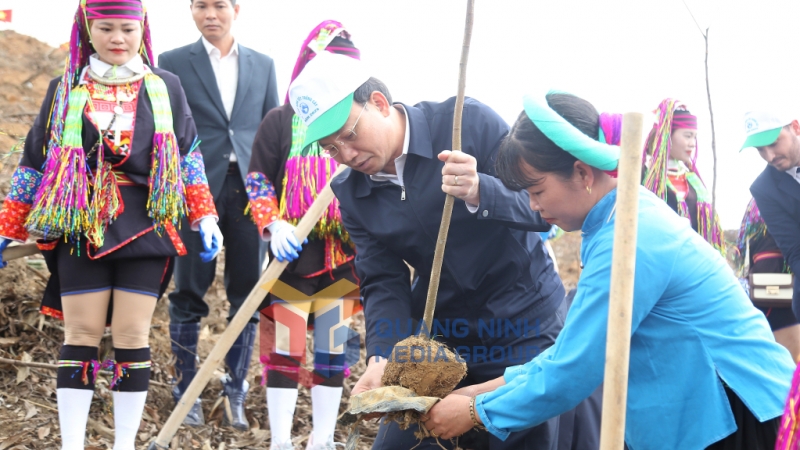 Đồng chí Bí thư Tỉnh ủy, Chủ tịch HĐND tỉnh trồng cây sau lễ phát động Tết trồng cây tại xã Quảng Lâm, huyện Đầm Hà (2-2024). Ảnh: Thu Chung