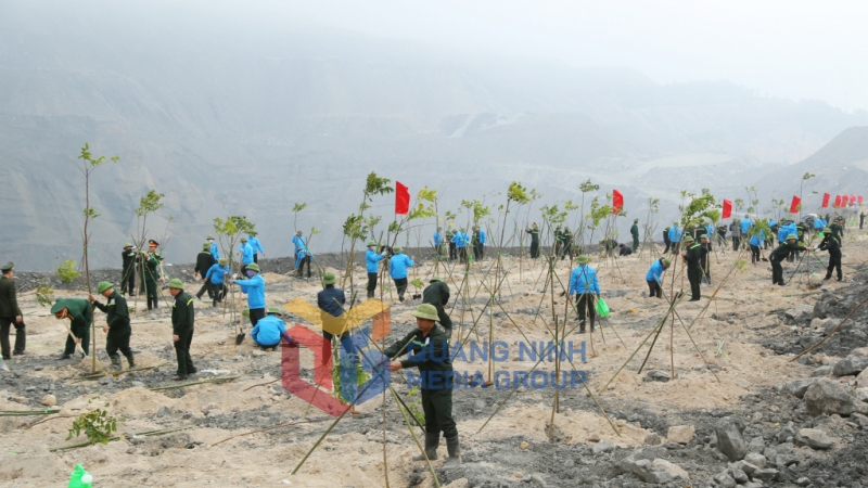 Các đơn vị, đoàn thể TP Cẩm Phả tham gia Tết trồng cây 2024 tại khai trường Công ty Khe Sim (2-2024). Ảnh: Nguyễn Thanh