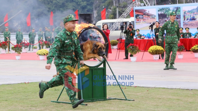 2024-03_Lễ ra quân huấn luyện năm 2024- những chú chó nghiệp vụ biên phòng vượt qua chướng ngại vật. Ảnh: Nguyễn Thanh