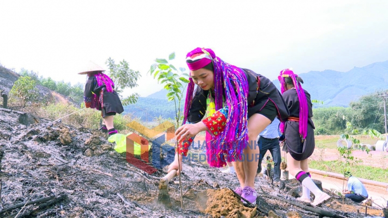 Bà con người Dao Thanh Y tham gia trồng 12.000 cây lim xanh với diện tích 12ha tại thôn Làng Han, xã Đồn Đạc (3-2024). Ảnh: Trung tâm TT-VH Ba Chẽ