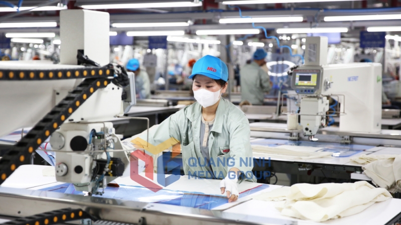 Sản xuất tại Công ty TNHH May mặc Hoa Lợi Đạt Việt Nam (3-2024). Ảnh: Minh Đức