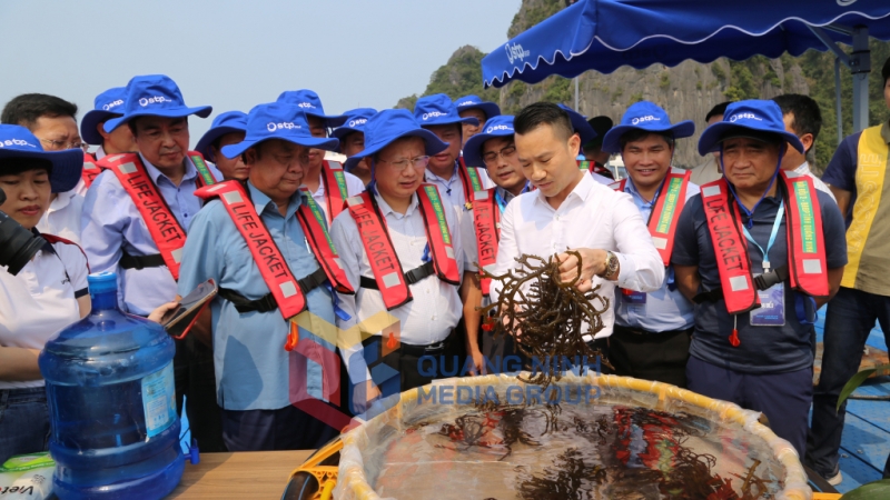 2024-03-Bộ trưởng Bộ NN&PTNT Lê Minh Hoan với các HTX, doanh nghiệp nuôi trồng thủy sản- tham quan mô hình nuôi rong sụn. Ảnh: Nguyễn Thanh