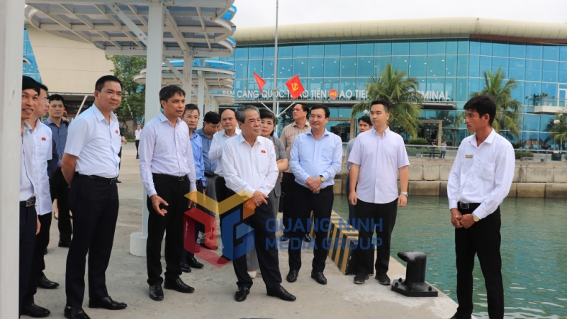 Đoàn giám sát của Ủy ban Thường vụ Quốc hội khảo sát tại bến cảng cao cấp Ao Tiên (4-2024). Ảnh: Cao Quỳnh