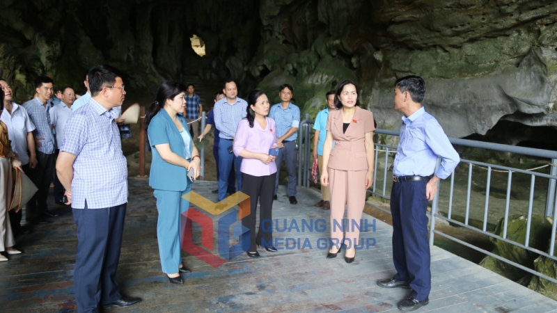 Đoàn ĐBQH tỉnh khảo sát công tác bảo vệ và phát huy giá trị Di sản thiên nhiên thế giới Vịnh Hạ Long (6-2024). Ảnh: Nguyễn Thanh
