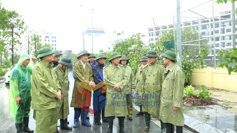 Đồng chí Bí thư Tỉnh ủy, Chủ tịch HĐND tỉnh kiểm tra một số tuyến giao thông trên địa bàn thành phố có cây gãy đổ do ảnh hưởng của bão (7-2024). Ảnh: Thu Chung