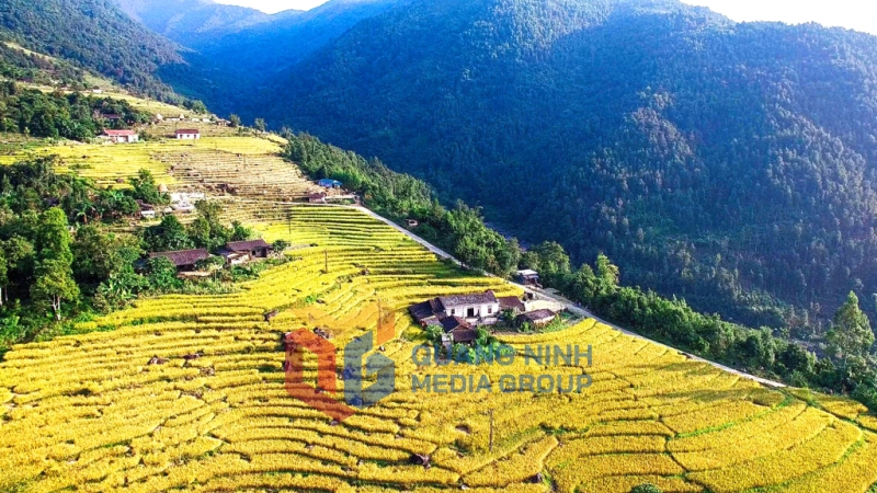 Ruộng bậc thang ở Bình Liêu nhìn từ trên cao (8-2020). Ảnh: Hùng Sơn
