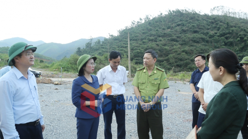 Đồng chí Phó Bí thư Thường trực Tỉnh ủy chia sẻ với những khó khăn, thiệt hại nặng nề của Công ty TNHH MTV lâm nghiệp Hoành Bồ cũng như nhiều công ty lâm nghiệp và các hộ dân trồng rừng (9-2024). Ảnh: Thu Chung