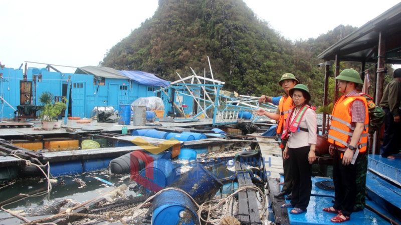 Đồng chí Phó Bí thư Thường trực Tỉnh ủy, kiểm tra bè mảng bị thiệt hại do bão số 3 gây ra tại khu vực hòn Ông Cụ, phường Cẩm Đông, TP Cẩm Phả (9-2024). Ảnh: Mạnh Trường