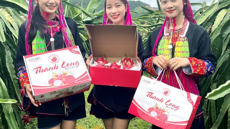 2024-09_Sản phẩm OCOP thanh long ruột đỏ của xã Nam Sơn. Ảnh: Hoài Minh