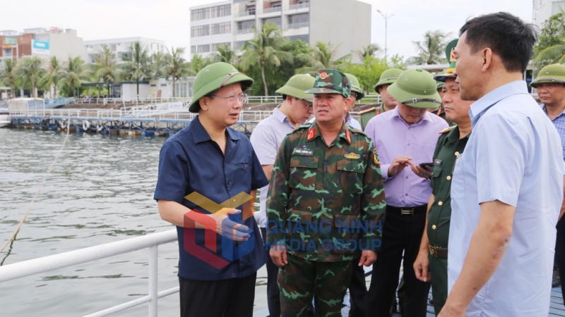 Đồng chí Cao Tường Huy, Chủ tịch UBND tỉnh, yêu cầu TP Hạ Long, các lực lượng chức năng tiếp tục kêu gọi tàu thuyền di chuyển đến các vị trí tránh trú an toàn (9-2024). Ảnh: Đỗ Phương