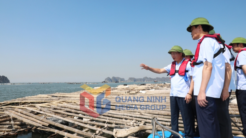 Đồng chí Chủ tịch UBND tỉnh yêu cầu tổ chức ngay các chiến dịch thu dọn, làm sạch vịnh, xử lý dứt điểm tình trạng lồng bè, phao xốp, rác trôi nổi trên vịnh và ven bờ (10-2024). Ảnh: Đỗ Phương