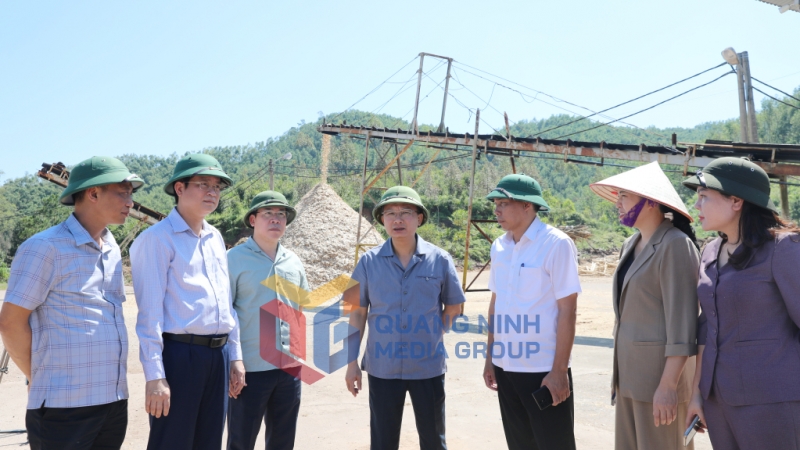 Đồng chí Chủ tịch UBND tỉnh kiểm tra cơ sở chế biến dăm gỗ trên địa bàn huyện Bình Liêu (10-2024). Ảnh: Đỗ Phương