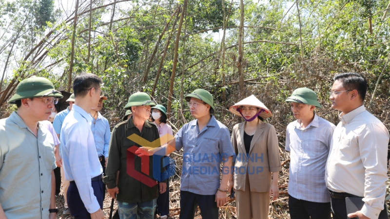 Đồng chí Cao Tường Huy, Chủ tịch UBND tỉnh, kiểm tra thiệt hại về lâm nghiệp tại huyện Bình Liêu (10-2024). Ảnh: Đỗ Phương
