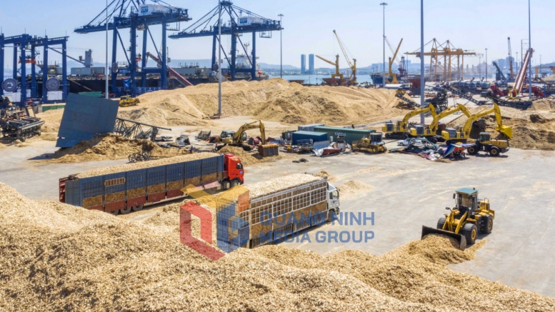 Khu vực xuất khẩu dăm gỗ tại cảng Cái Lân (10-2024). Ảnh: Đỗ Giang