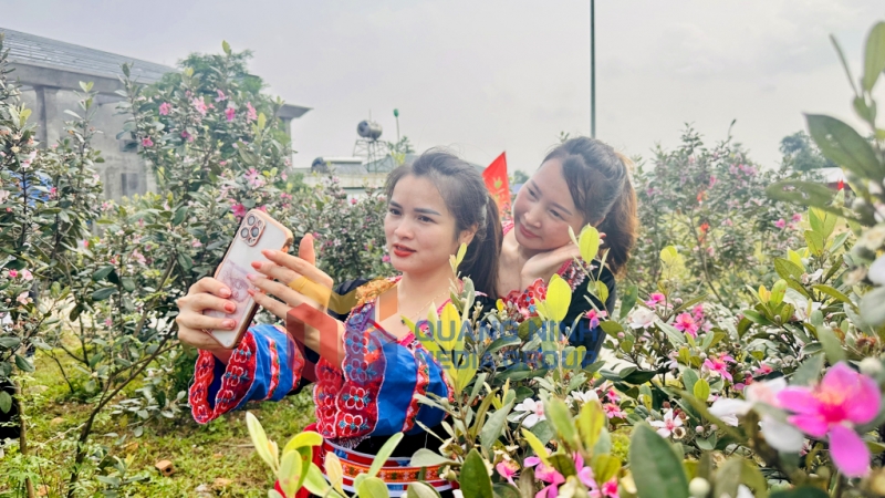 2023-05_Lễ hội Hoa sim năm 2023 thu hút người dân và du khách. Ảnh: Chu Linh