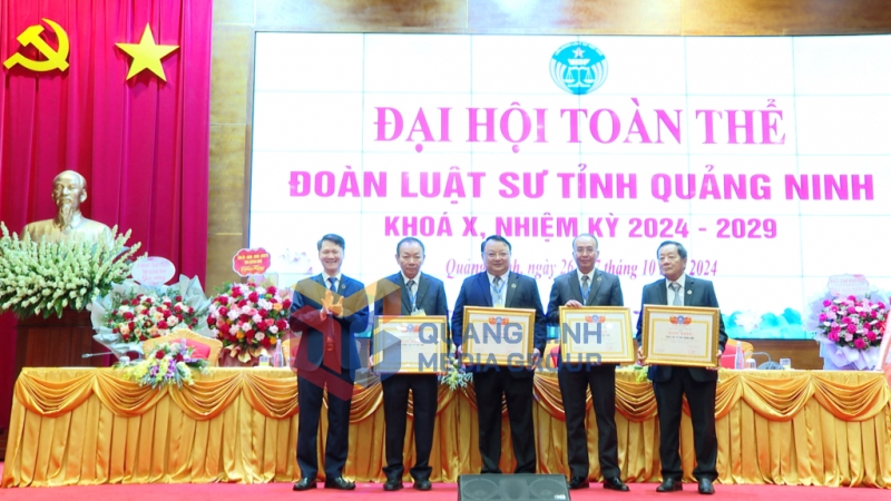 Liên đoàn Luật sư Việt Nam tặng Bằng khen cho một số tập thể (10-2024). Ảnh: Mai Hương